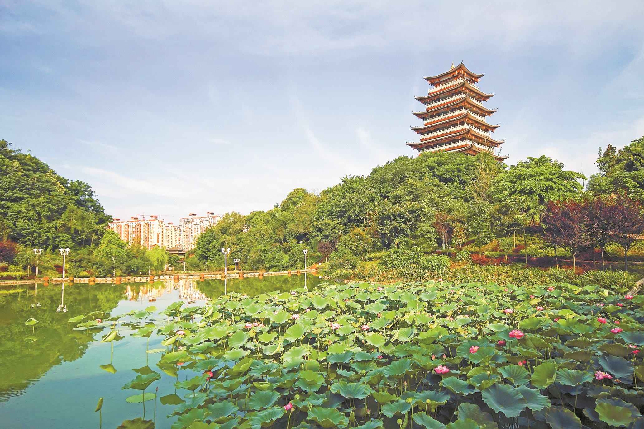 城市环境-重庆市荣昌区—城市公园(海棠公园.jpg