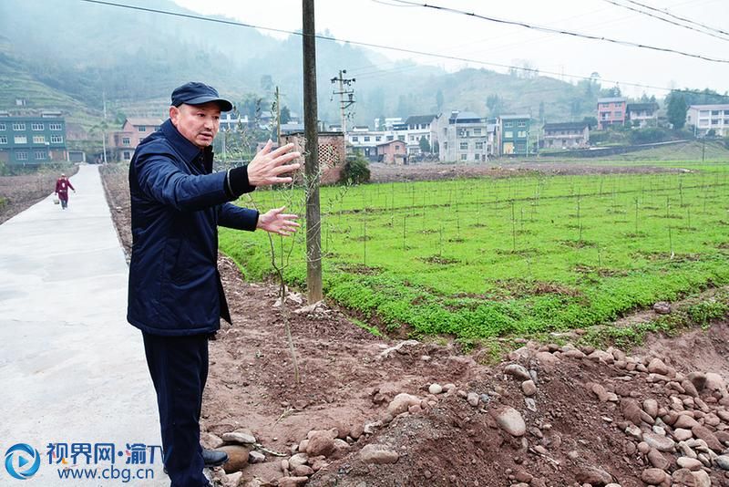 廖文雄 能人带动兴产业 村民抱团谋发展