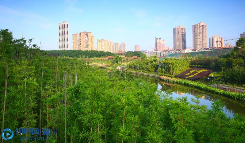 重庆荣昌:百竹园观花赏竹 邂逅初夏好时光