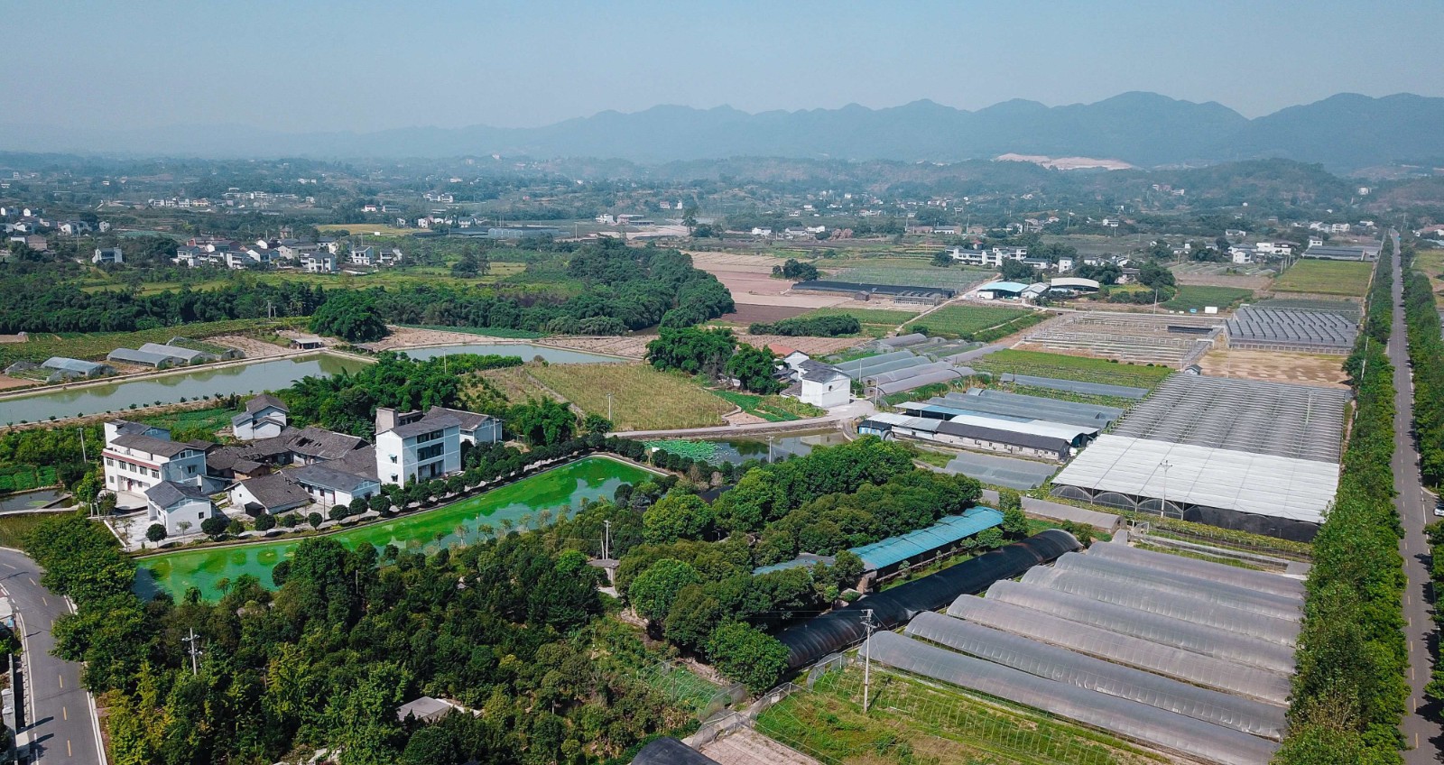 首页 首页推荐 幻灯片 正文近年来,璧山区八塘镇围绕美丽乡村建设对农