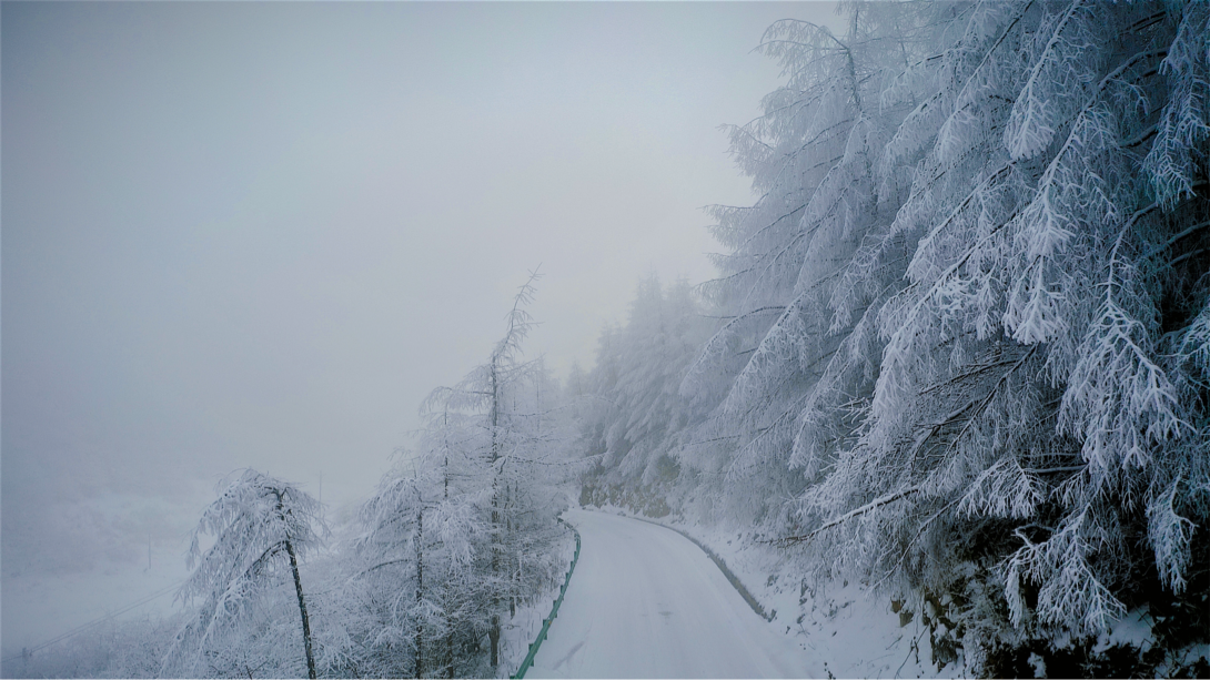 文峰镇通往红池坝景区路上的美丽雪景(肖永逸 摄)