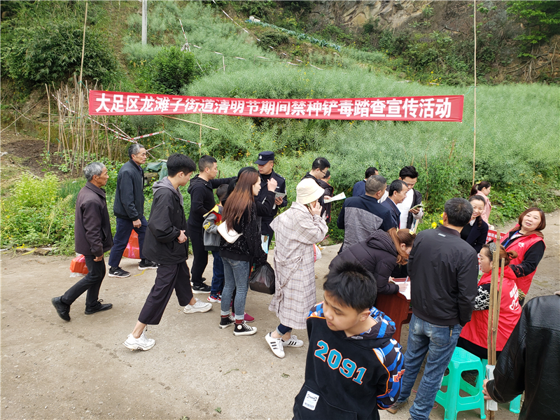 龙滩子街道清明节"禁种铲毒"踏查宣传活动