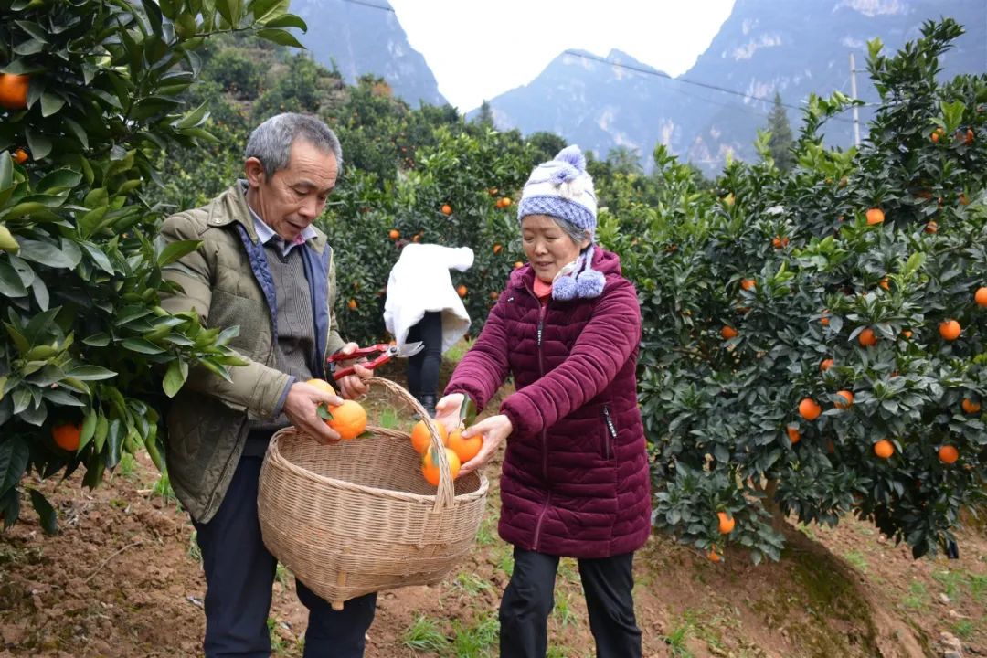 全国脱贫攻坚楷模毛相林来万州了