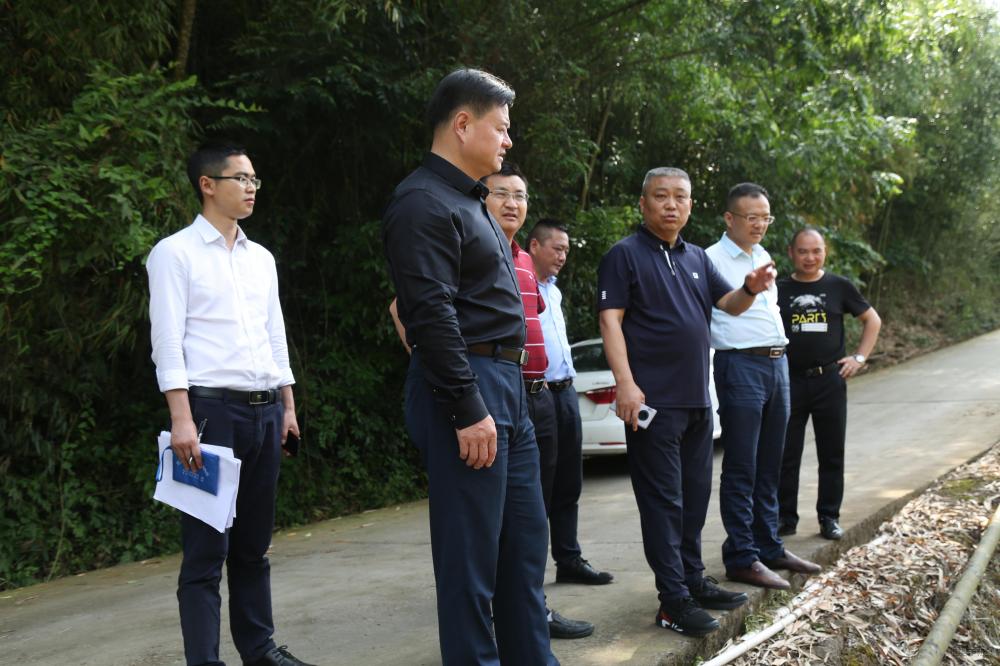 刘杉树:高质量建设农村公路助力乡村振兴-忠县手机台