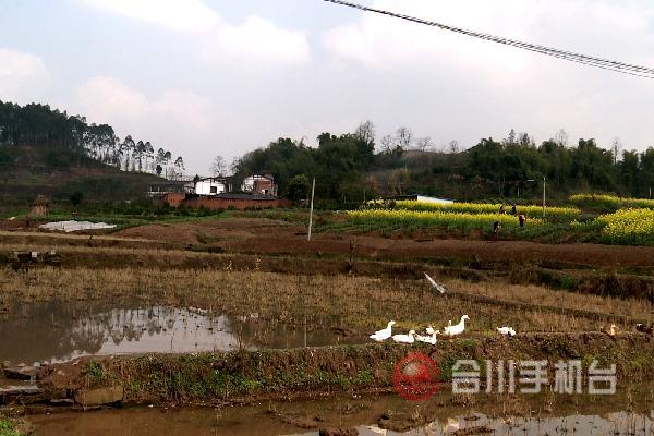 钱塘镇气温回升快田间技术指导忙