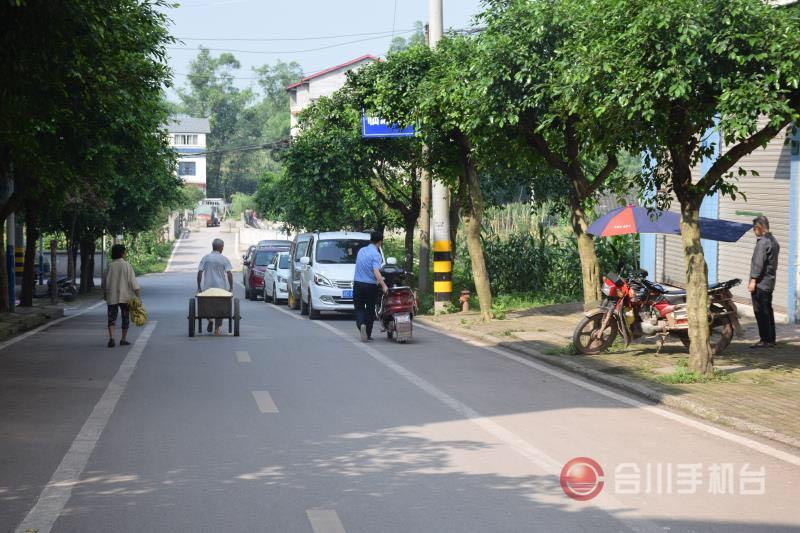 合川沙鱼镇积极推行街长制助力全国文明城区创建