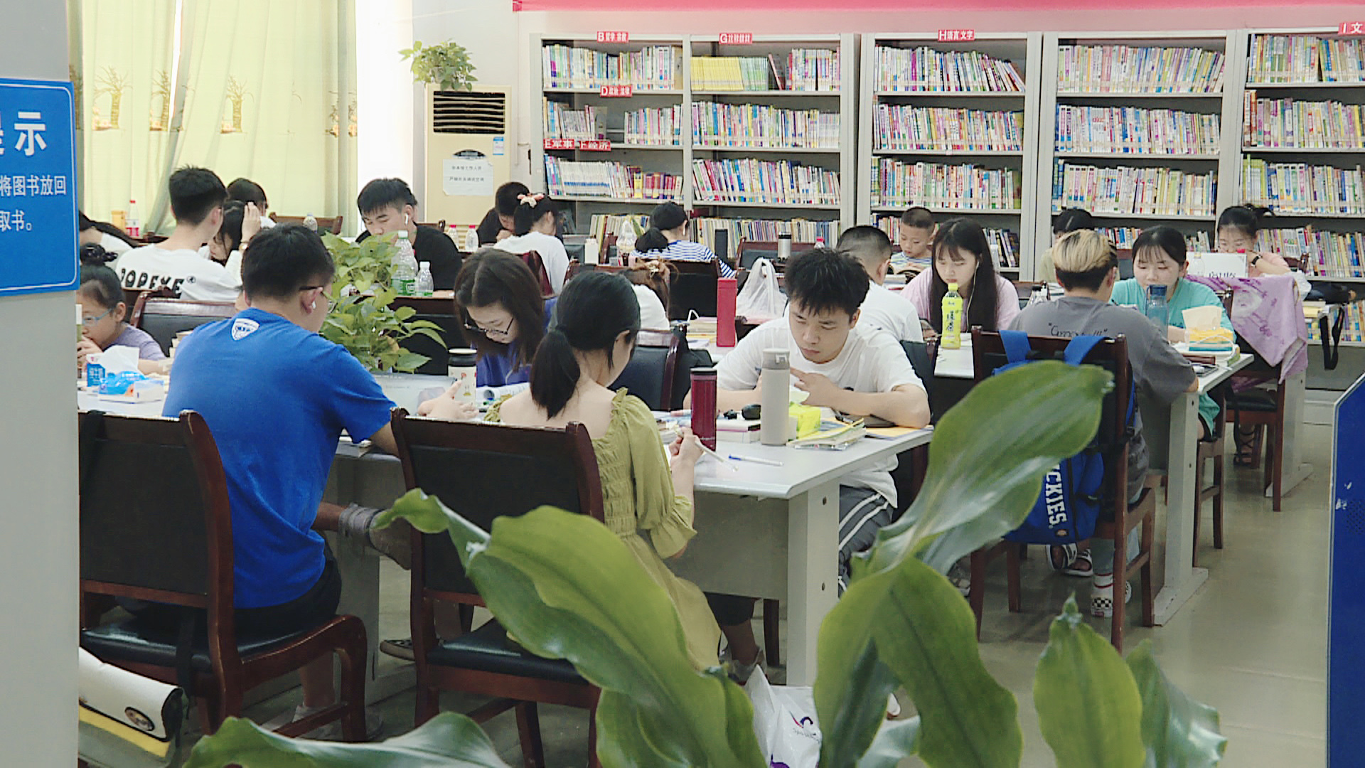 学生们在图书馆看书学习(摄影:杨圣龙)
