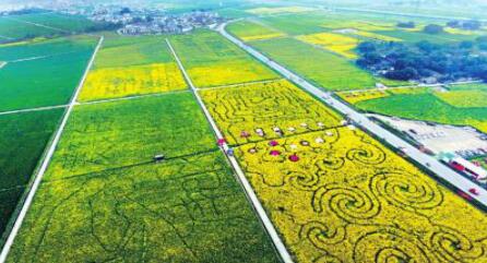 《美丽乡村:杜市镇太公山景区邀您云端赏花-江津手机台