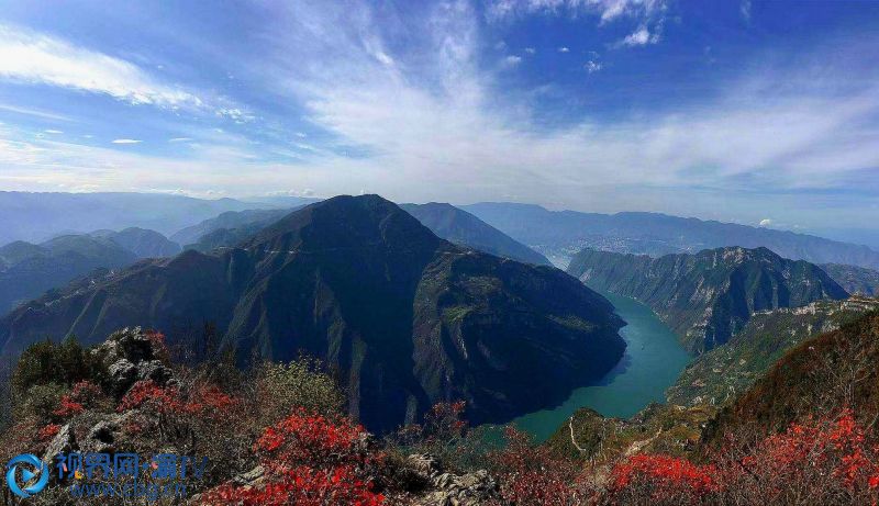 日前，长江三峡中的红叶红了，漫山遍野的红叶万山红遍、层林尽染，宛如美丽中国的一幅生态画卷。