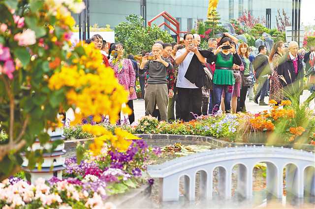     十一月一日，市民们参观花博会，用手机记录鲜花美景。张坤琨 摄