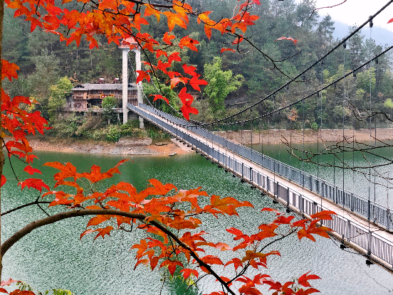 小桥流水人家