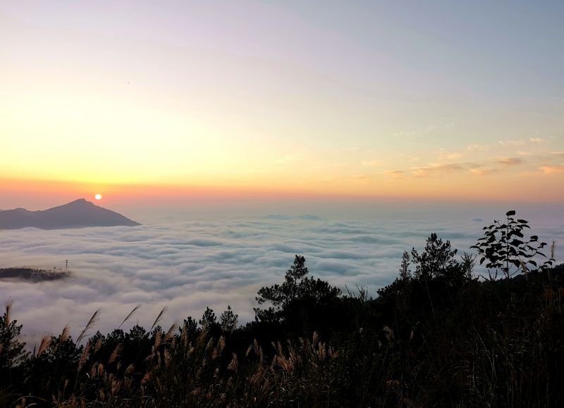 武陵山云海美景 黄河/摄