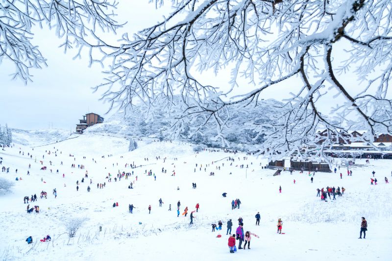 【我爱我的祖国】南国雪原金佛山   2015年12月20日，摄于金佛山药池坝。夏于洪 摄