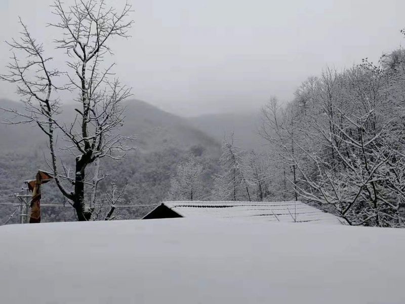 重庆城口:雪景美如画