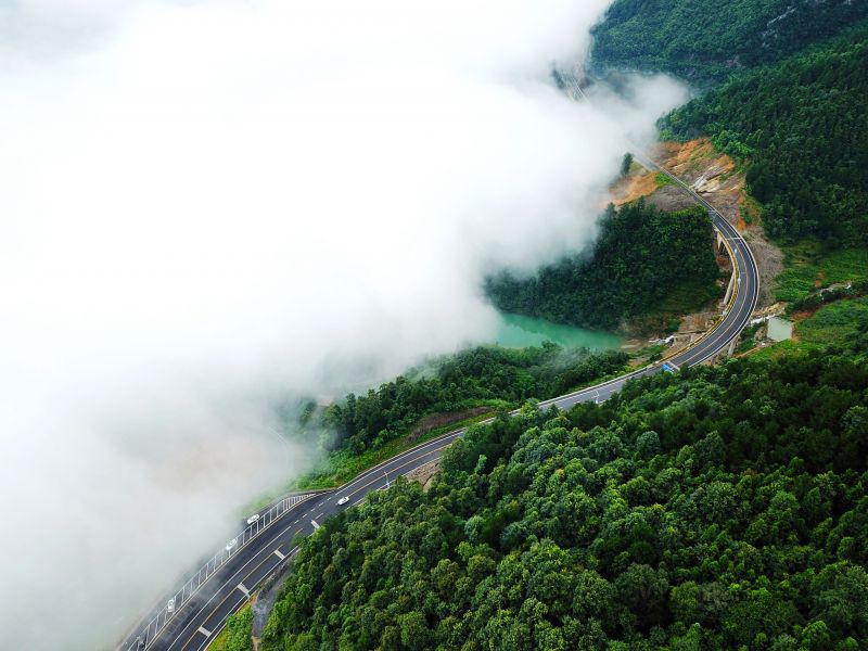 1.2019年8月4日拍摄于万盛从林-黑山公路。（刘琳 摄）