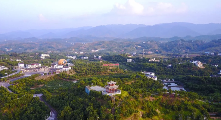 QQ图片20191217115252