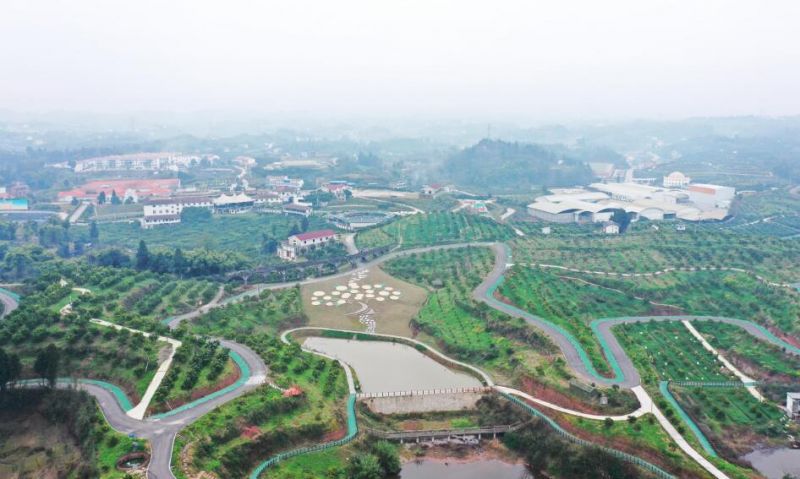 “三峡橘乡”田园综合体。