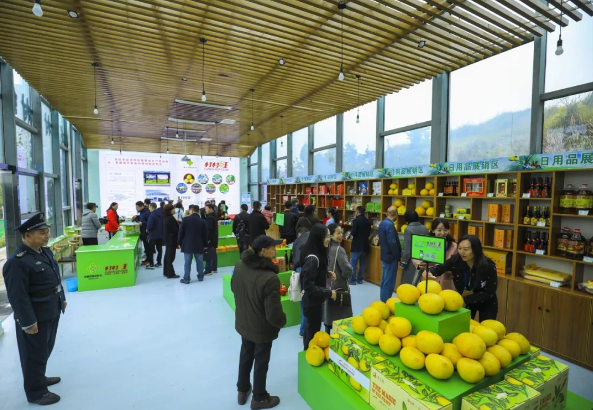 QQ图片20191217115329