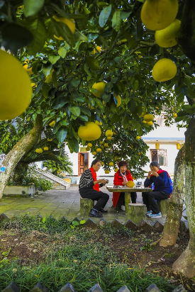 QQ图片20191217115600