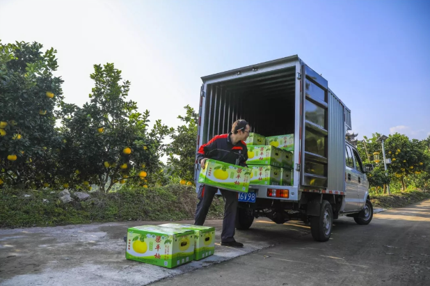 梁平顺丰快递有限公司将快递车开进中华·梁平柚海,为柚农网上销售柚子提供运输服务。