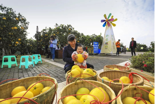 QQ图片20191217115407