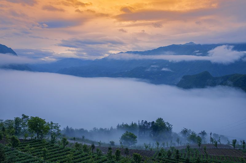 城口县庙坝镇山排山 周健 摄