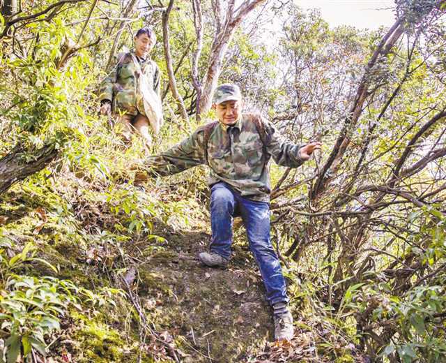 李光华(后)、李光禄(前)