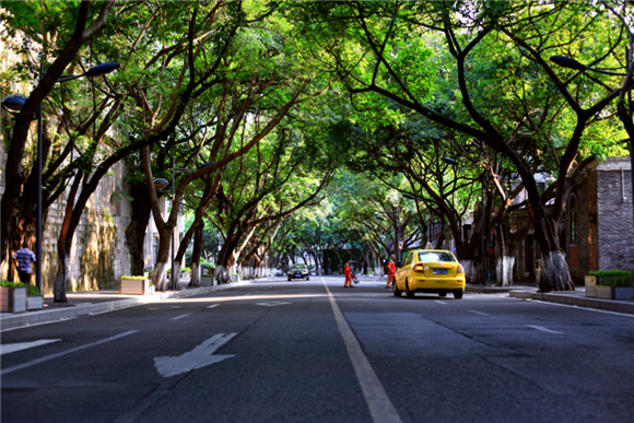 看百村变化重庆市渝中区上清寺街道