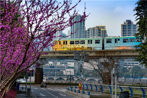 看百村变化重庆市渝中区大溪沟街道
