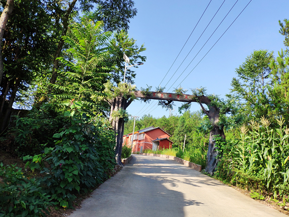 看百村變化重慶市巫山縣騾坪鎮鴛鴦村