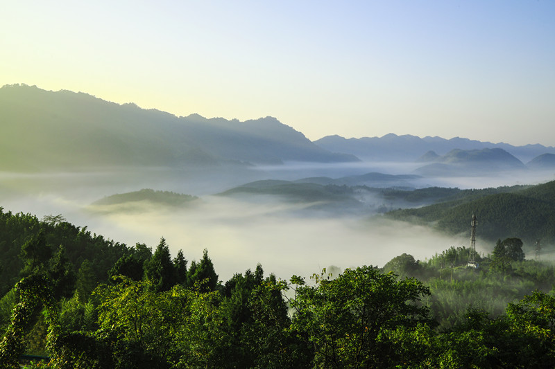 重庆梁平绵延竹海风景如画