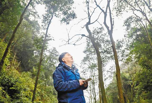 2月27日，全国政协委员、重庆市林业局副局长张洪在缙云山巡山，途中不时摸出随身携带的小本记录发现的问题。