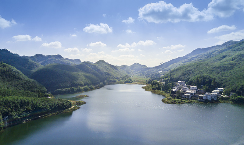 重庆梁平绵延竹海风景如画
