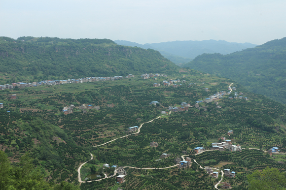 竹坪村全貌