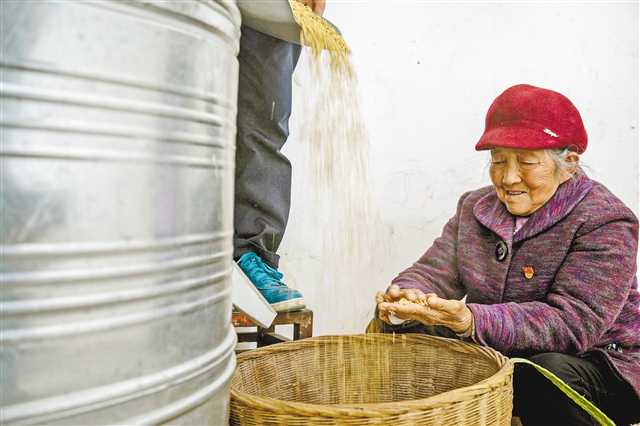 　　4月16日，马培清家的粮仓中粮食富足。