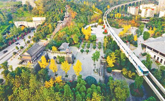 2019-11-13-011-246831-4