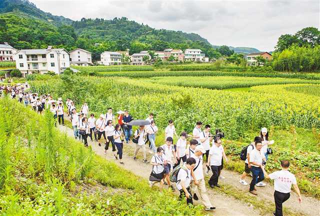  7月15日，綦江区石壕镇，采访团队踏着红军走过的路，寻访当年红军的足迹。