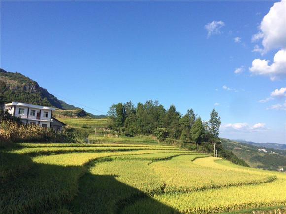看百村变化重庆市彭水县连湖镇