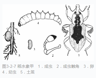 微信截图_20200521135422.png