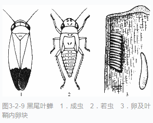 微信截图_20200521135440.png