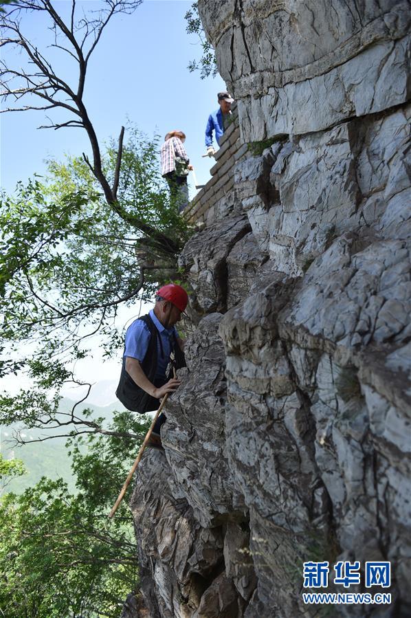 程永茂攀爬箭扣长城上的巨石,准备登上修缮工程作业面(6月3日摄)。新华社发(陈钟昊摄)