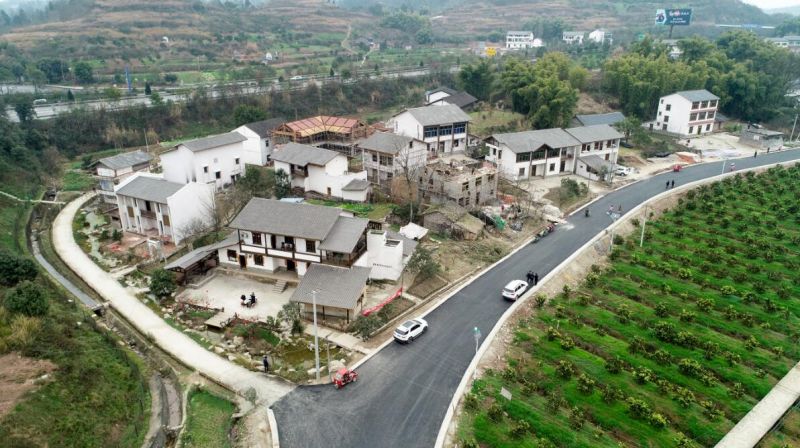 体农村人居环境整治是忠县五沿区域的重要节点和窗口,涉及双桂镇,新
