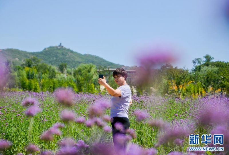 6月14日,游客在河北省邯郸市丛台区紫山生态涵养区内游玩。 新华社记者 朱旭东 摄