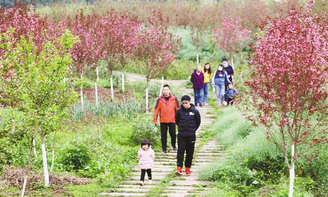 4月5日，大足區(qū)棠香街道的“棠香人家”鄉(xiāng)村旅游示范區(qū)，迎來不少市民踏青。通訊員 黃舒 攝