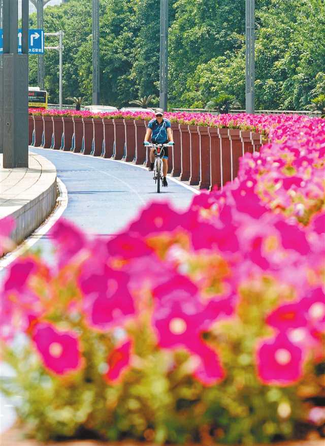     5月29日，江北區(qū)北濱路，市民從開滿鮮花的騎行道上經(jīng)過。