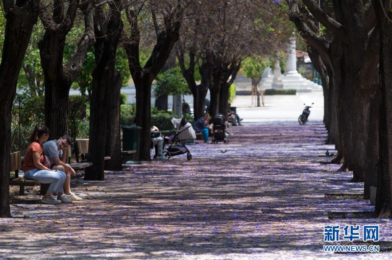5月30日，人们在希腊雅典市中心的扎皮翁宫附近游览。 新华社发（马里奥斯·罗洛斯摄）