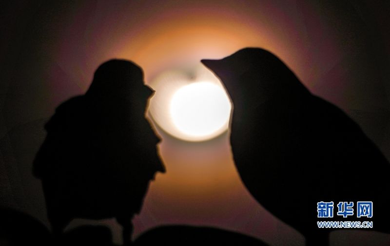 　21日下午4时16分，福建漳州，开始食分，这是鸽子雕塑与日环食，形成有趣一景。新华网 肖和勇 摄