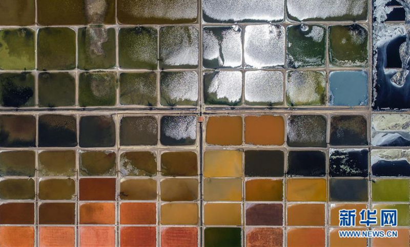 6月15日在山东省荣成市港西镇拍摄的一处盐田（无人机照片）。 盐田的水在高温下不断蒸发，浓度变大，呈现出色彩斑斓的独特景象，宛如一张巨大的调色板。 新华社发（李信君 摄）