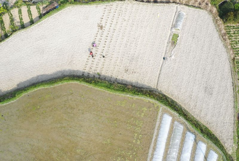 羊角鎮(zhèn)艷山紅村