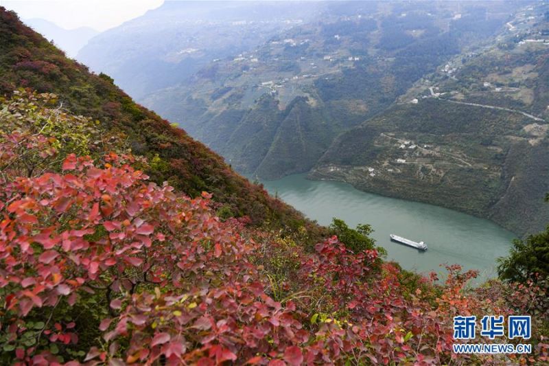 　　红叶映衬下的长江巫峡段景象（2019年11月23日摄）。新华社记者 王全超 摄